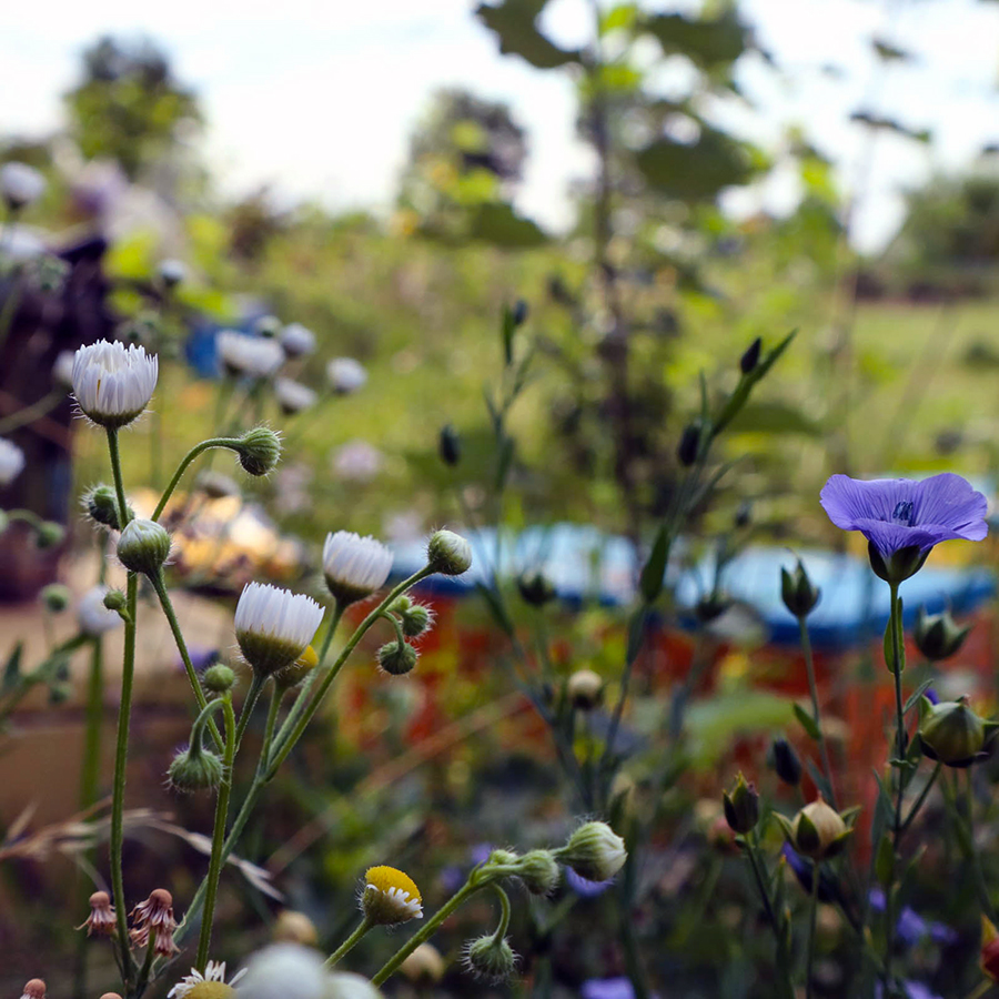 Vasetto di miele millefiori MEL